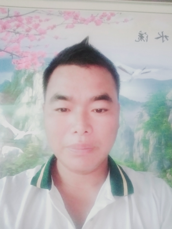 阳光男孩的第二张照片--平顶山父母相亲团